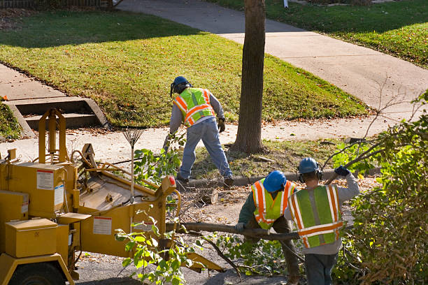 Best Commercial Tree Services  in Gilmer, TX